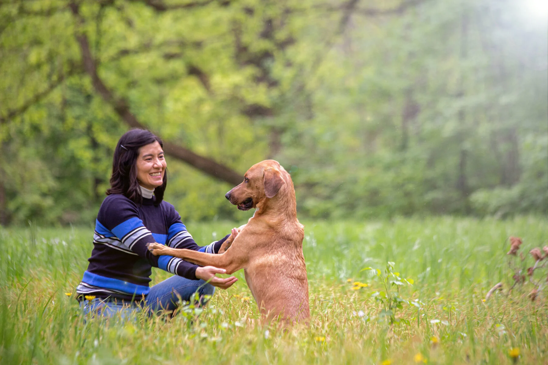 Hundetraining & Verhaltensberatung Mannheim